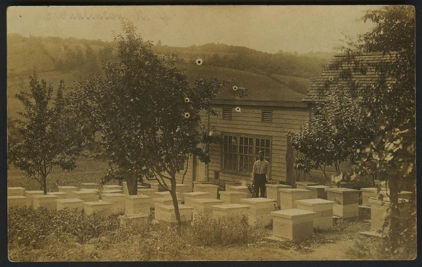   rare bee keeper with smoker hives store franklinton new york ca 1908