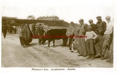 Galway Aran Islands Market Day old Irish Photo 14 x 11  