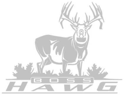 Big Rack The Boss Hawg Buck Silver Metallic Hunting  