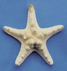 Glitter Seashell Ornament WHITE BUMPY STARFISH Large  