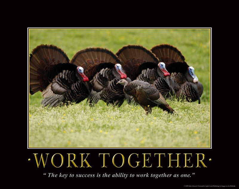 WORK TOGETHER TURKEY HUNTING MOTIVATIONAL ART DENV21  