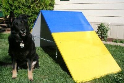 Dog Agility Mini A Frame,10 tunnel &2 Tunnel Sand Bags  