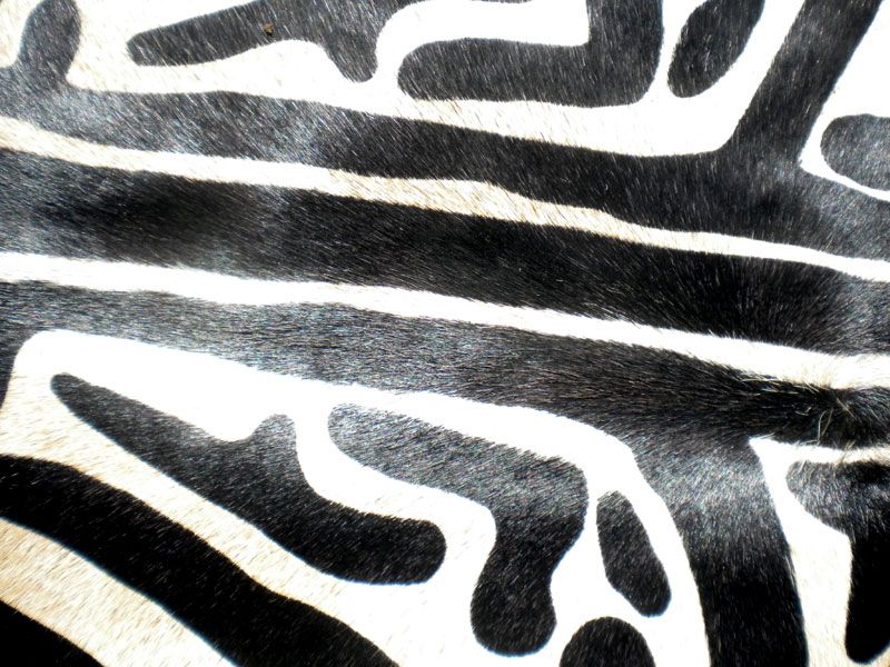 ZEBRA Print/Printed COWHIDE SKIN Rug COW HIDE DC3207  