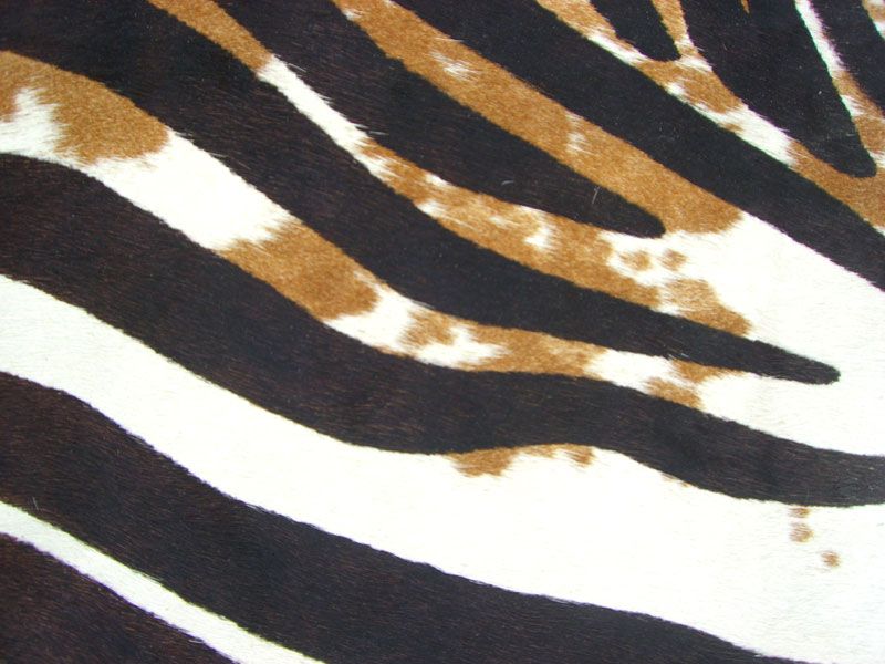 ZEBRA Print/Printed COWHIDE SKIN Rug steer COW HIDE dc2079  