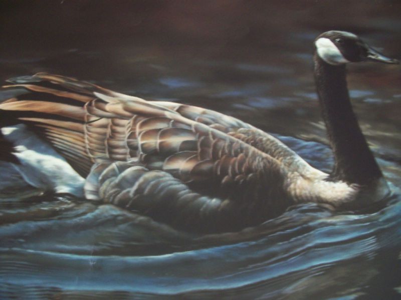 2006 Mn Ducks Unlimited Print Rebecca Latham Goose  