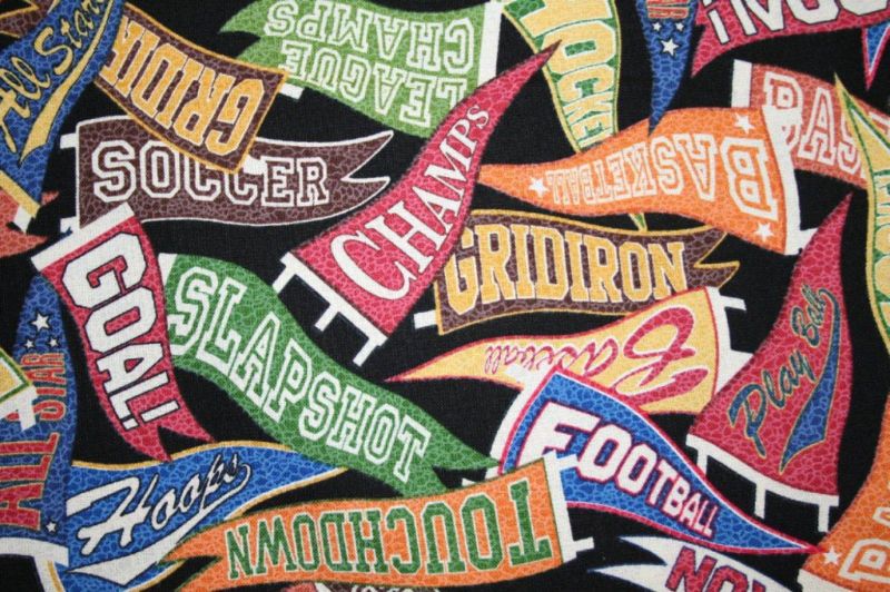 VARIETY OF SPORTS PENNANTS BASKETBALL HOCKEY BASEBALL  