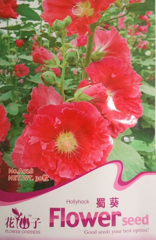 A028 Flower Red Chaters Hollyhock/ALTHAEA Seed Pack D  